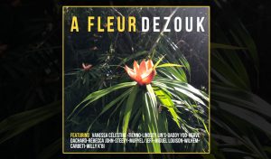 compilation a fleur de zouk