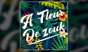 compilation a fleur de zouk vol 2