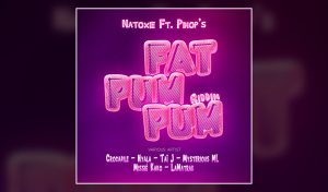 Fat Pum Pum Riddim by Natoxie & Dj Pinop's